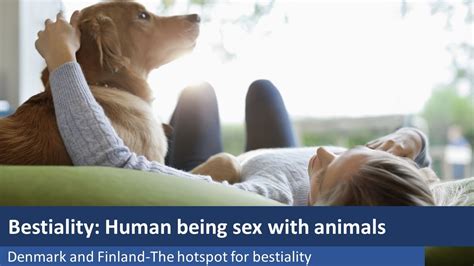 zootibe|Free Animal Porn Videos and Bestiality Clips